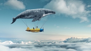 謹賀新年 2019年新春のご挨拶